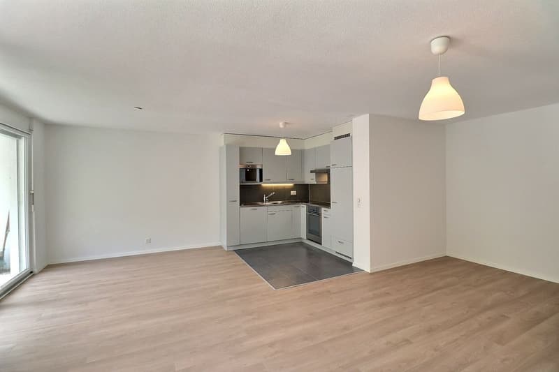 Beautiful 4.5-room apartment with renovation, terrace, and garden (7)