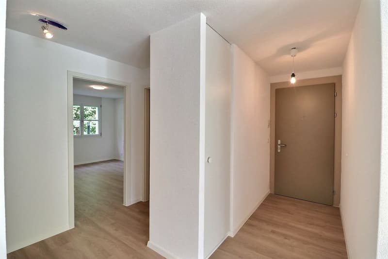 Beautiful 4.5-room apartment with renovation, terrace, and garden (9)