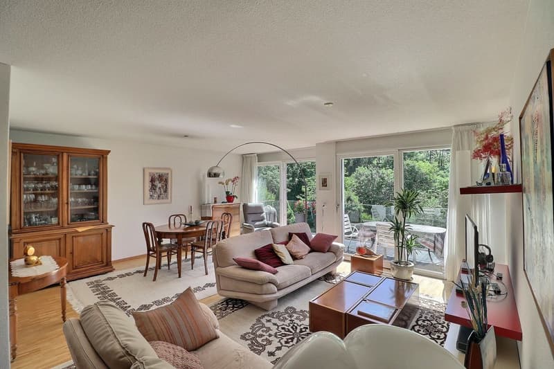 APPARTEMENT LOUE DE 5,5 PIECES AU DERNIER ETAGE DANS UN QUARTIER TRES CALME AVEC TRES BELLE VUE - POUR INVESTISSEURS (3)