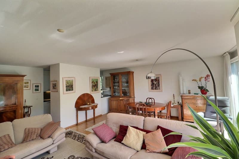 APPARTEMENT LOUE DE 5,5 PIECES AU DERNIER ETAGE DANS UN QUARTIER TRES CALME AVEC TRES BELLE VUE - POUR INVESTISSEURS (4)