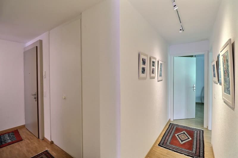 APPARTEMENT LOUE DE 5,5 PIECES AU DERNIER ETAGE DANS UN QUARTIER TRES CALME AVEC TRES BELLE VUE - POUR INVESTISSEURS (12)