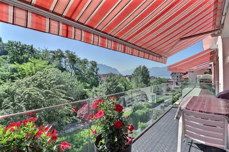 APPARTEMENT LOUE DE 5,5 PIECES AU DERNIER ETAGE DANS UN QUARTIER TRES CALME AVEC TRES BELLE VUE - POUR INVESTISSEURS (5)