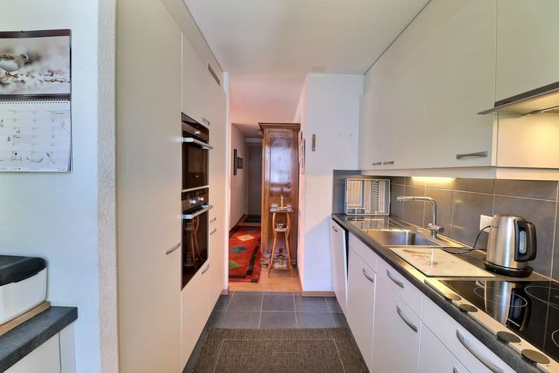 APPARTEMENT LOUE DE 5,5 PIECES AU DERNIER ETAGE DANS UN QUARTIER TRES CALME AVEC TRES BELLE VUE - POUR INVESTISSEURS (8)