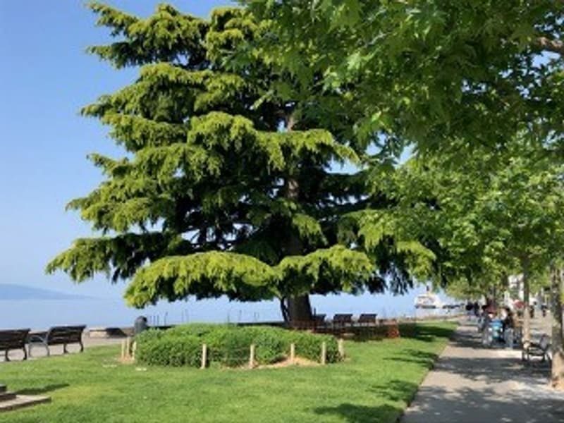 Charming 4.5-room apartment in the heart of Vevey, 2 minutes from the lake (4)