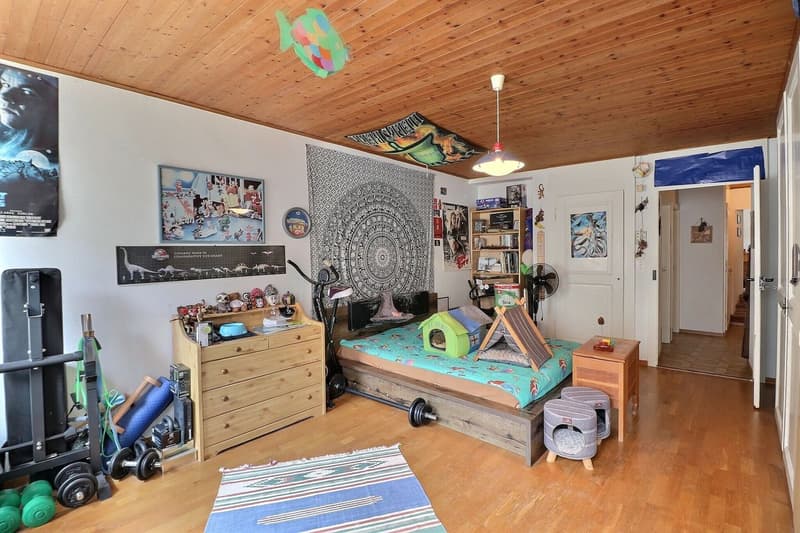Charming 4.5-room apartment in the heart of Vevey, 2 minutes from the lake (11)
