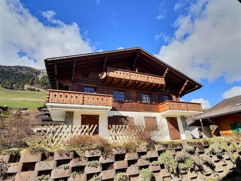 Angenehmes Dachgeschoß-Duplex in Château-d'Oex zu verkaufen (3)