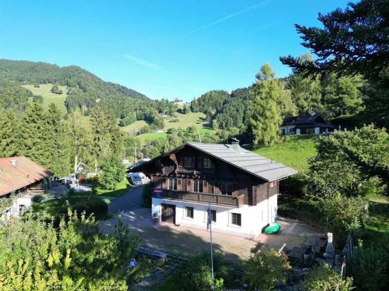 OPPORTUNITE A SAISIR JOLI CHALET DE 5,5 PIECES AVEC BELLE VUE AU CALME (1)