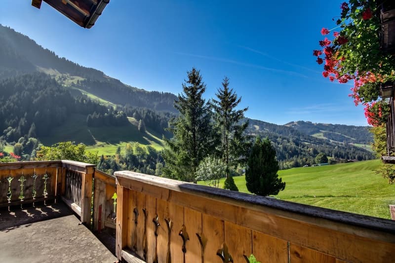 Großes Anwesen mit 2 Chalets zum Verkauf! (8)