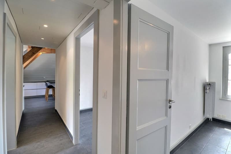 DUPLEX AVEC CACHET UNIQUE AU CENTRE D'AIGLE (6)