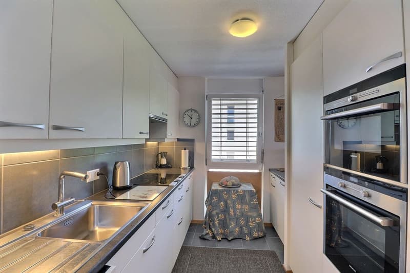 POUR INVESTISSEURS: APPARTEMENT LOUE DE 5,5 PIECES DANS UN QUARTIER TRES CALME AVEC UNE BELLE VUE (7)