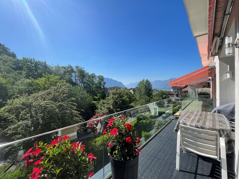 POUR INVESTISSEURS: APPARTEMENT LOUE DE 5,5 PIECES DANS UN QUARTIER TRES CALME AVEC UNE BELLE VUE (3)