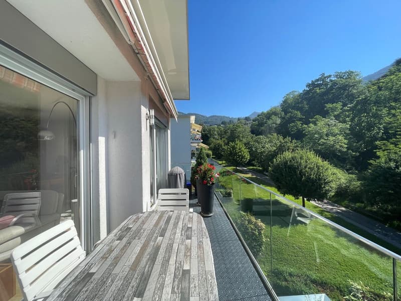 POUR INVESTISSEURS: APPARTEMENT LOUE DE 5,5 PIECES DANS UN QUARTIER TRES CALME AVEC UNE BELLE VUE (6)