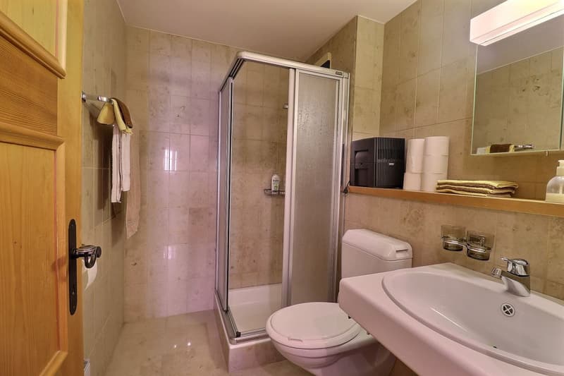 Bel appartement de 4 pièces avec grand balcon (9)