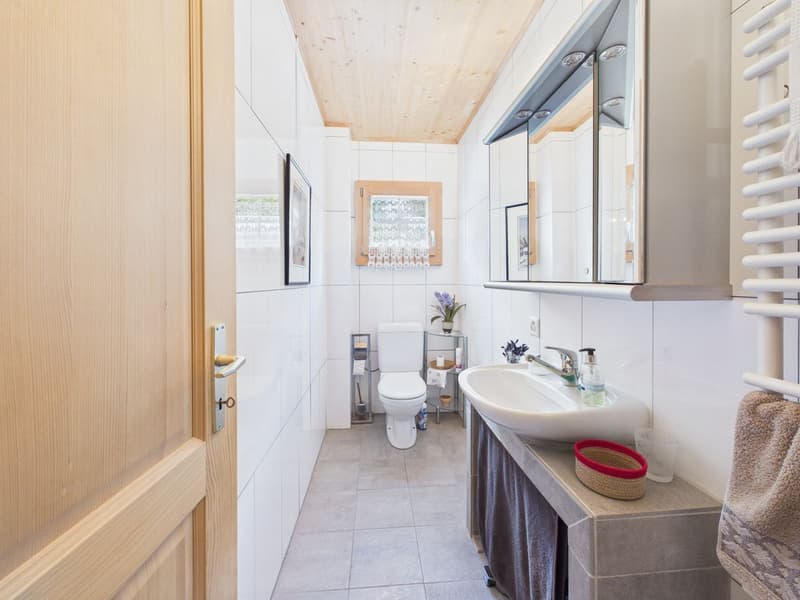 Superbe chalet à vendre à Rossinière (5)