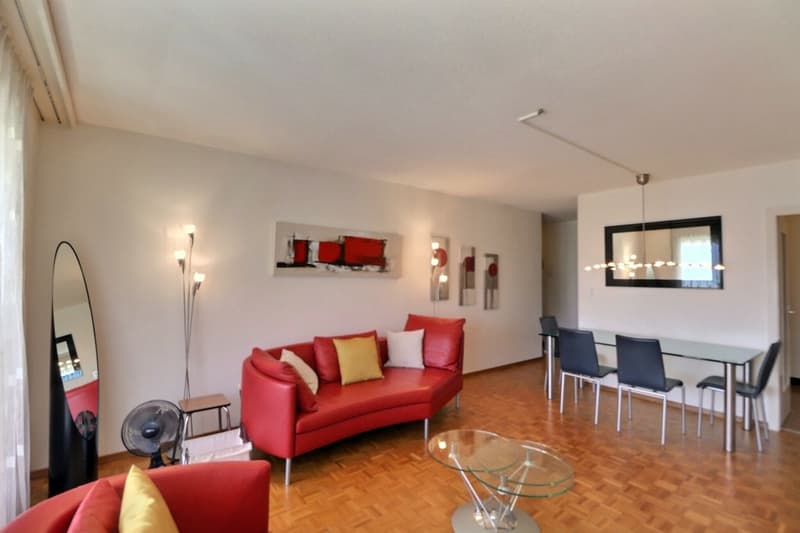 APPARTEMENT DE 1,5 PIECES AVEC TRES BONNE SITUATION ET BELLE VUE SUR LE LAC ET LES MONTAGNES (7)