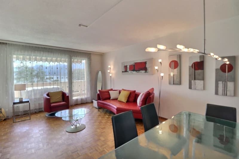 APPARTEMENT DE 1,5 PIECES AVEC TRES BONNE SITUATION ET BELLE VUE SUR LE LAC ET LES MONTAGNES (6)