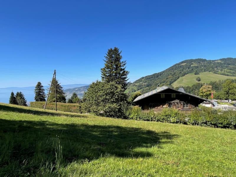 OPPORTUNITE A SAISIR - JOLI CHALET DE 5,5 PIECES AVEC BELLE VUE (1)