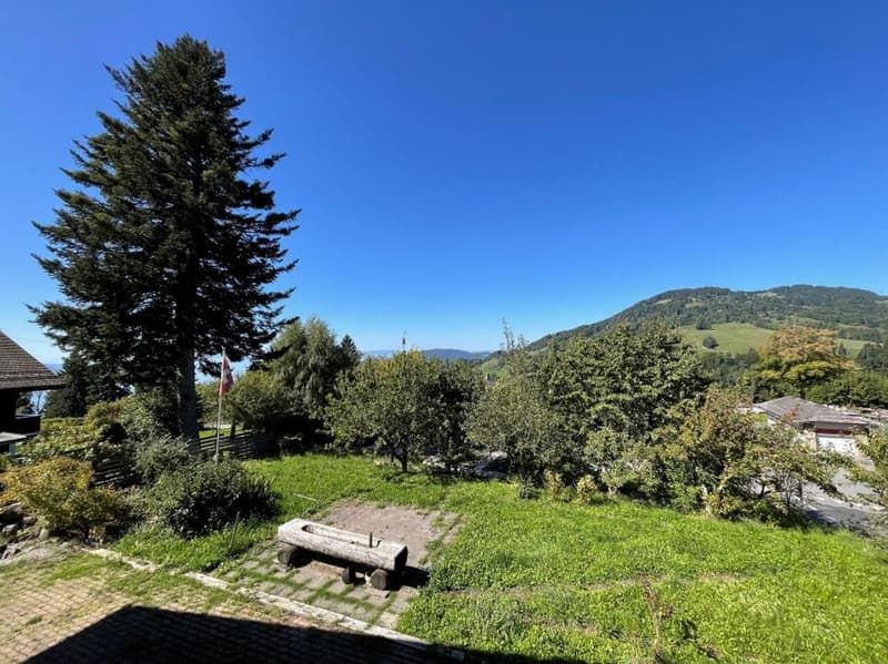 OPPORTUNITE A SAISIR - JOLI CHALET DE 5,5 PIECES AVEC BELLE VUE (8)