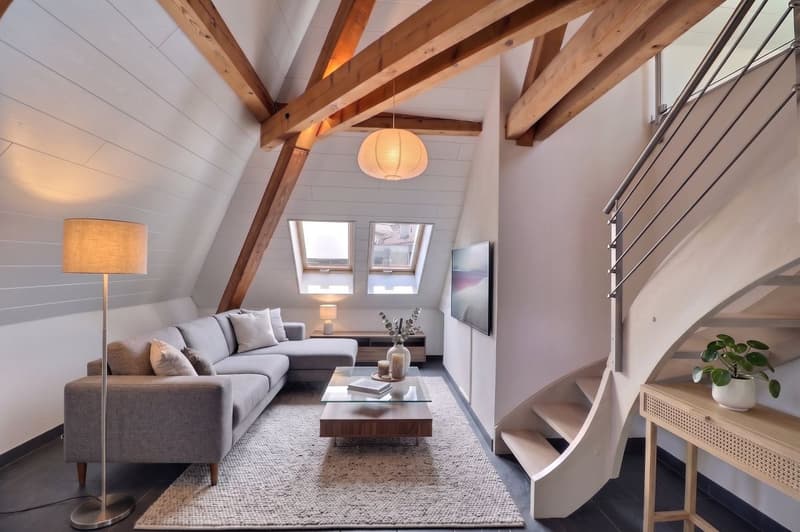 DUPLEX AVEC CACHET UNIQUE AU CENTRE D'AIGLE (3)