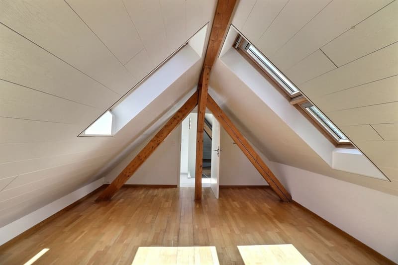 DUPLEX AVEC CACHET UNIQUE AU CENTRE D'AIGLE (11)
