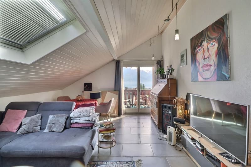 CHARMANT APPARTEMENT DE 3,5 PIECES LOUE AVEC UNE VUE PANORAMIQUE IMPRENABLE SUR LE LAC ET LES ALPES (4)