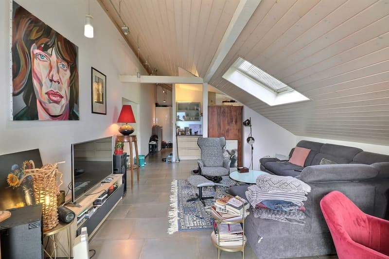 CHARMANT APPARTEMENT DE 3,5 PIECES LOUE AVEC UNE VUE PANORAMIQUE IMPRENABLE SUR LE LAC ET LES ALPES (6)