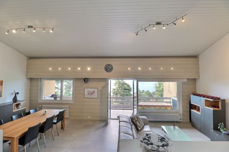 SPACIEUX APPARTEMENT DE 4,5 PIECES ENTIEREMENT RENOVE AVEC TRES BELLE VUE (7)