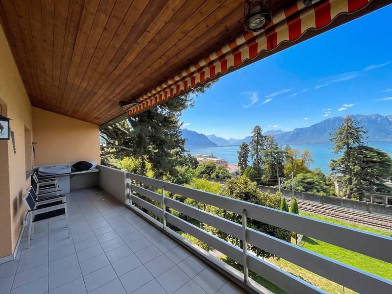 SPACIEUX APPARTEMENT DE 4,5 PIECES ENTIEREMENT RENOVE AVEC TRES BELLE VUE (2)