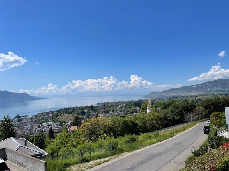 APPARTEMENT DE 5,5 PIECES AVEC UNE VUE GRANDIOSE ET EN TRES BON ETAT (3)