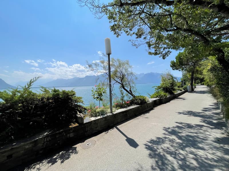APPARTEMENT DE 1,5 PIECES IDEALEMENT SITUE AVEC TRES BELLE VUE DAGAGEE SUR LE LAC ET LES MONTAGNES A 150 M DES QUAIS DE MONTREUX (12)
