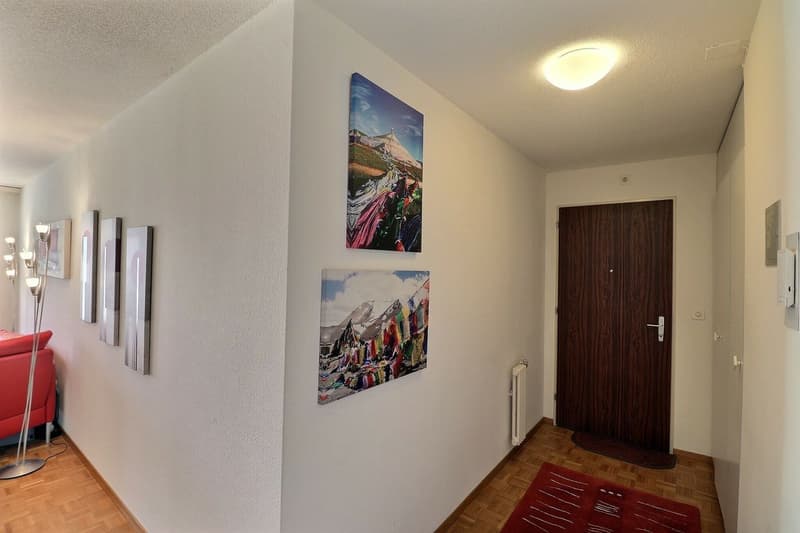 APPARTEMENT DE 1,5 PIECES IDEALEMENT SITUE AVEC TRES BELLE VUE DAGAGEE SUR LE LAC ET LES MONTAGNES A 150 M DES QUAIS DE MONTREUX (8)