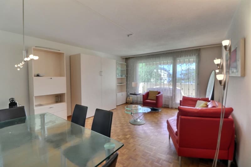 APPARTEMENT DE 1,5 PIECES IDEALEMENT SITUE AVEC TRES BELLE VUE DAGAGEE SUR LE LAC ET LES MONTAGNES A 150 M DES QUAIS DE MONTREUX (6)