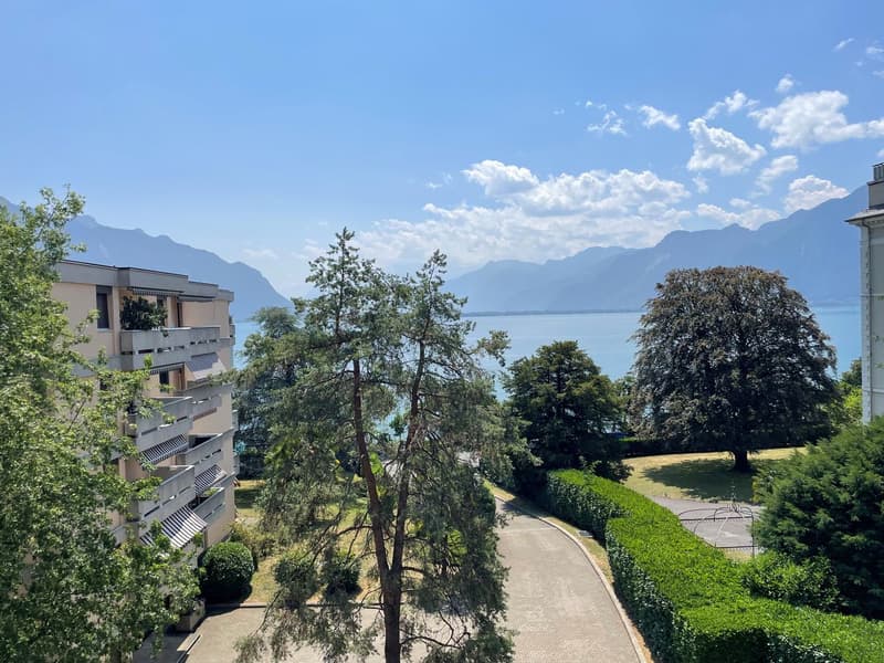 APPARTEMENT DE 1,5 PIECES IDEALEMENT SITUE AVEC TRES BELLE VUE DAGAGEE SUR LE LAC ET LES MONTAGNES A 150 M DES QUAIS DE MONTREUX (1)