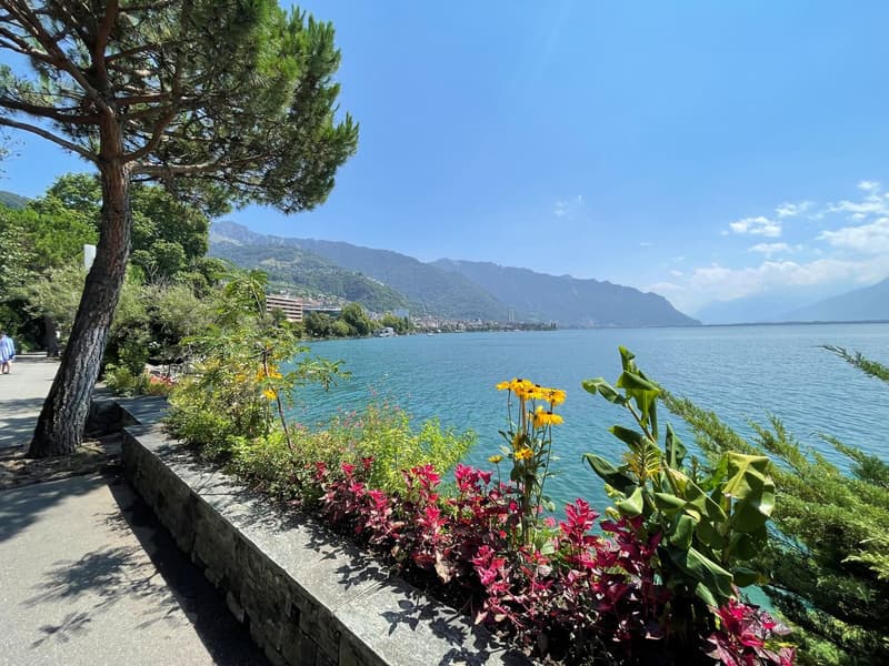 APPARTEMENT DE 1,5 PIECES IDEALEMENT SITUE AVEC TRES BELLE VUE DAGAGEE SUR LE LAC ET LES MONTAGNES A 150 M DES QUAIS DE MONTREUX (11)