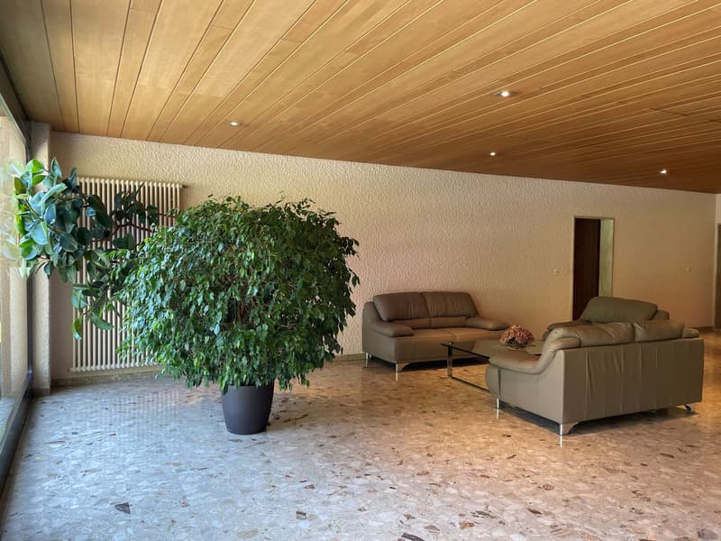 APPARTEMENT DE 1,5 PIECES IDEALEMENT SITUE AVEC TRES BELLE VUE DAGAGEE SUR LE LAC ET LES MONTAGNES A 150 M DES QUAIS DE MONTREUX (13)