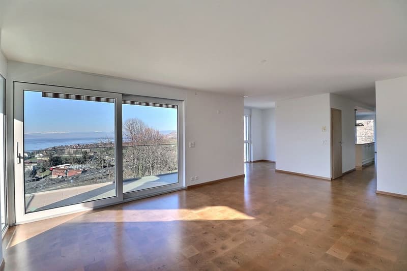 SPACIEUX APPARTEMENT DE 5,5 PIECES AVEC VUE GRANDIOSE SUR LE LAC ET LES MONTAGNES (5)