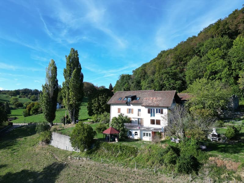 IMMEUBLE DE 4 APPARTEMENTS A RENOVER AVEC VUE PANORAMIQUE EXCEPTIONNELLE SUR LE LAC LEMAN ET LES ALPES (2)