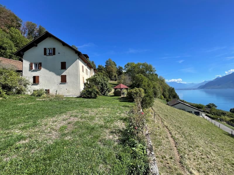 IMMEUBLE DE 4 APPARTEMENTS A RENOVER AVEC VUE PANORAMIQUE EXCEPTIONNELLE SUR LE LAC LEMAN ET LES ALPES (1)
