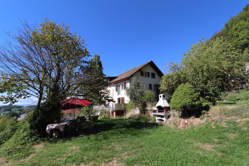 IMMEUBLE DE 4 APPARTEMENTS A RENOVER AVEC VUE PANORAMIQUE EXCEPTIONNELLE SUR LE LAC LEMAN ET LES ALPES (5)