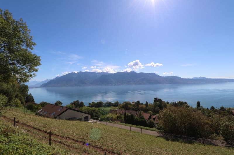 IMMEUBLE DE 4 APPARTEMENTS A RENOVER AVEC VUE PANORAMIQUE EXCEPTIONNELLE SUR LE LAC LEMAN ET LES ALPES (3)