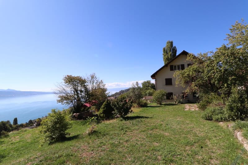 IMMEUBLE DE 4 APPARTEMENTS A RENOVER AVEC VUE PANORAMIQUE EXCEPTIONNELLE SUR LE LAC LEMAN ET LES ALPES (6)