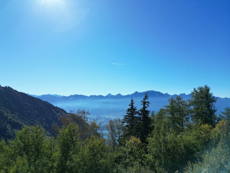 OBJET RARE - MAGNIFIQUE CHALET DE 4,5 PIECES A CAUX SUR MONTREUX AVEC TRES BELLE VUE SUR LES MONTAGNES (2)