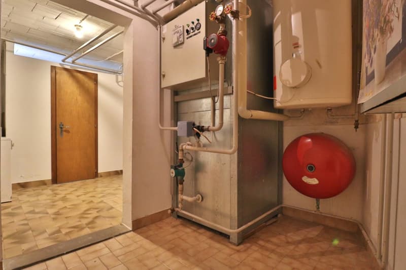 RARE - House to renovate (9)