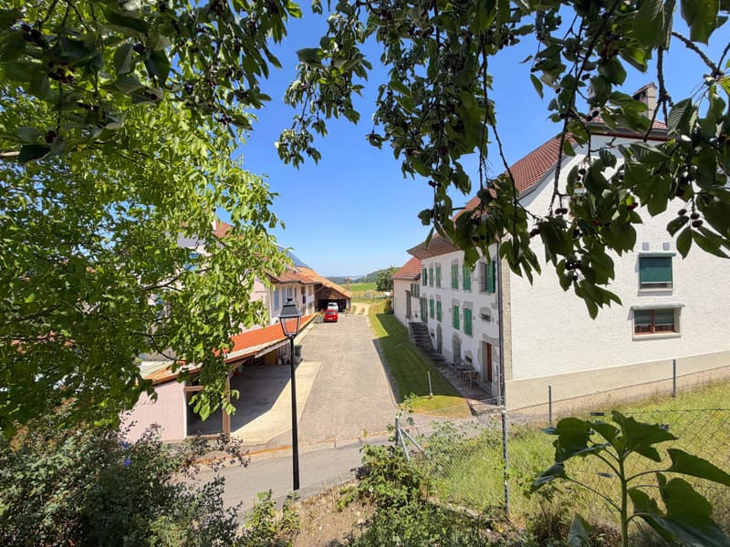 Building lot of 517.00 m2 (8)