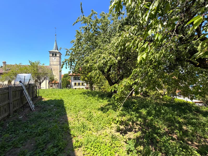 Building lot of 517.00 m2 (5)
