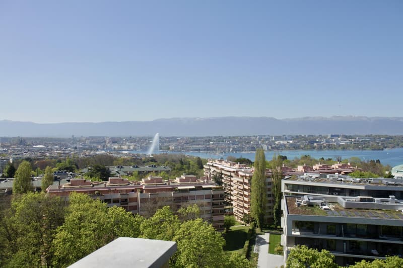 Cologny Parc: Exceptional attic apartment with panoramic views! (2)