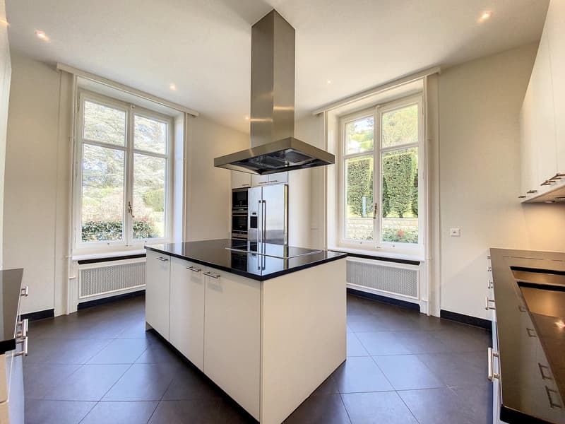 Exceptional and prestigious property (fully renovated) (5)