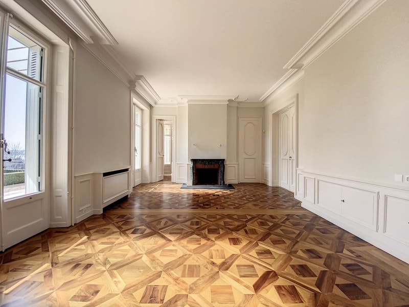 Exceptional and prestigious property (fully renovated) (4)