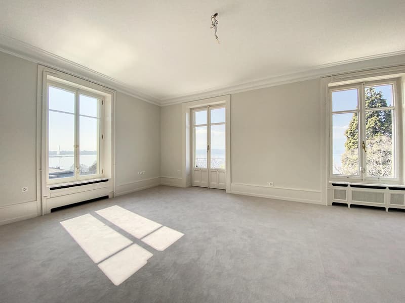 Exceptional and prestigious property (fully renovated) (6)
