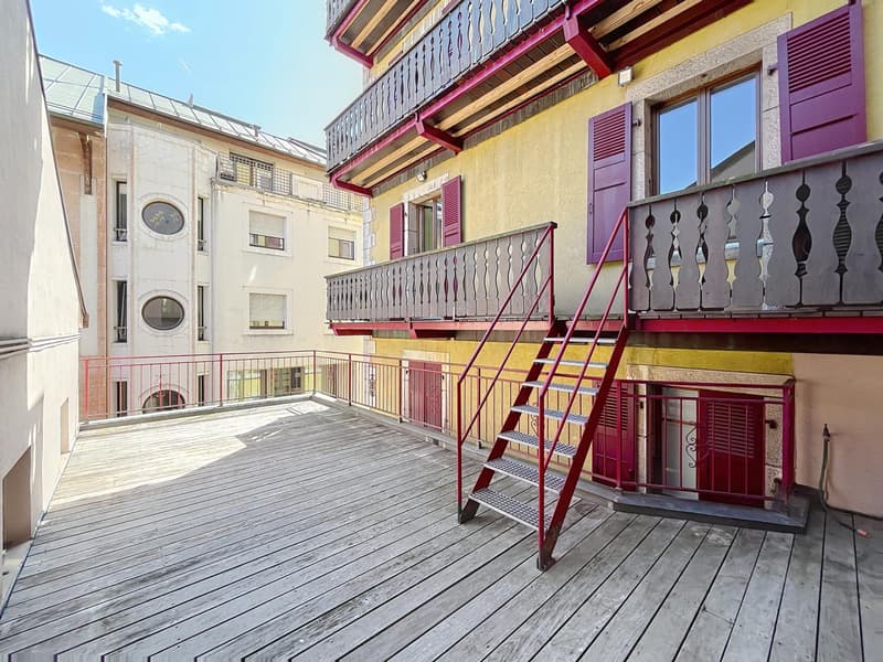 Exceptional duplex in the heart of Geneva (3)